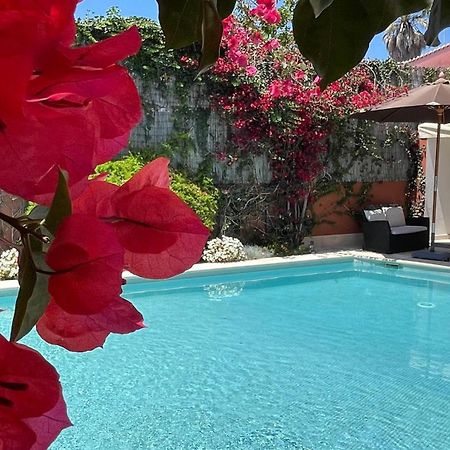 Studio With Private Swimming Pool And Garden Cascais Ngoại thất bức ảnh