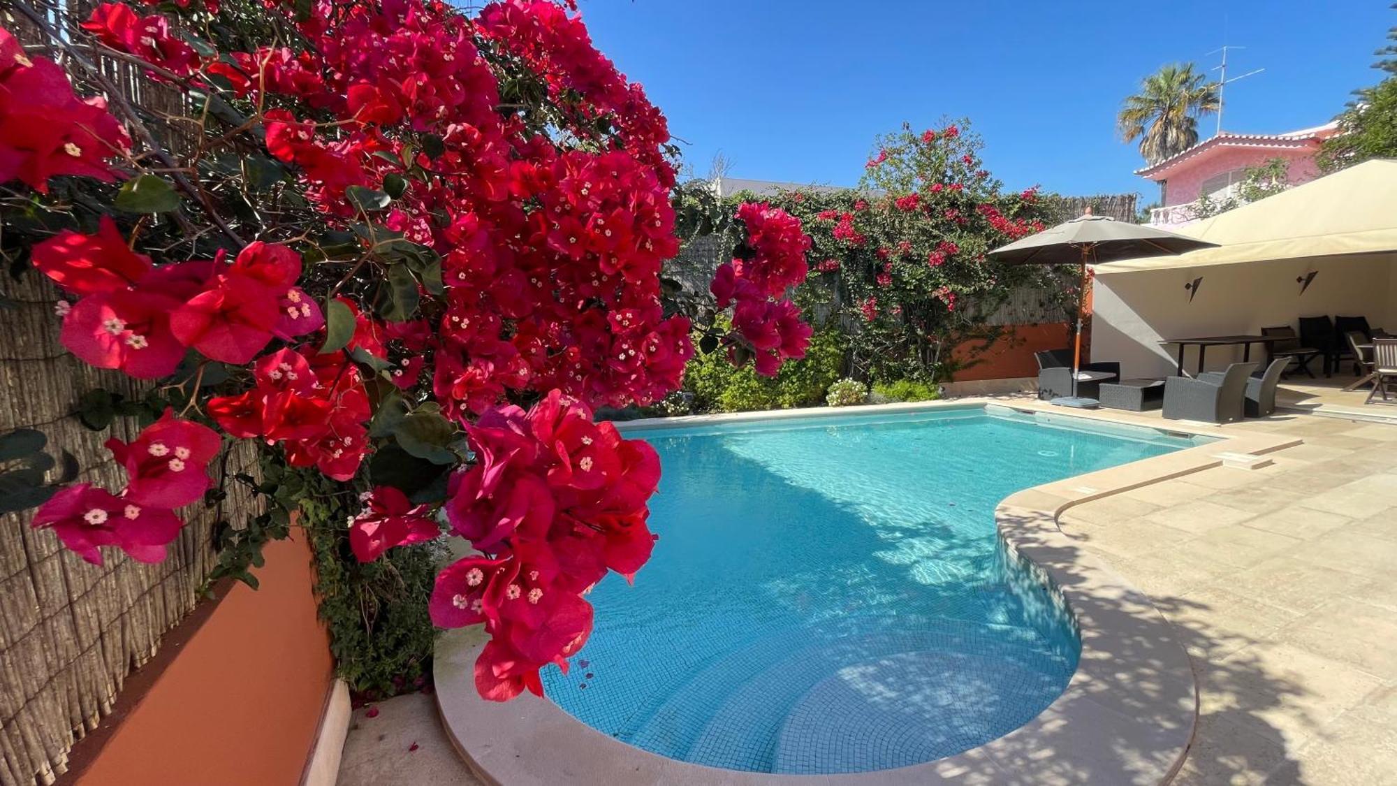 Studio With Private Swimming Pool And Garden Cascais Ngoại thất bức ảnh