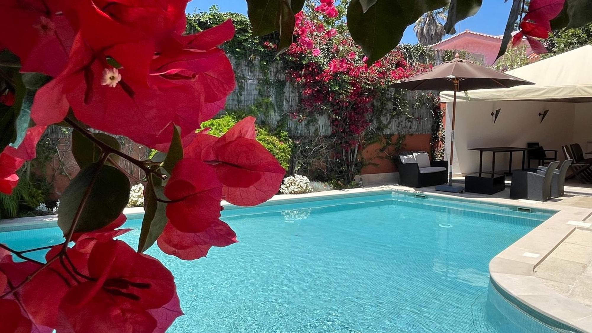 Studio With Private Swimming Pool And Garden Cascais Ngoại thất bức ảnh